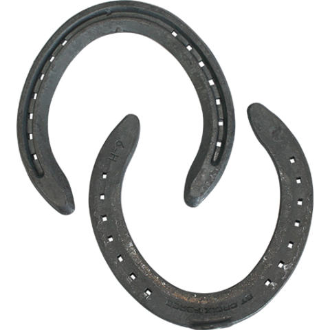 ST Croix Concorde Steel Hinds